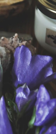 flovers